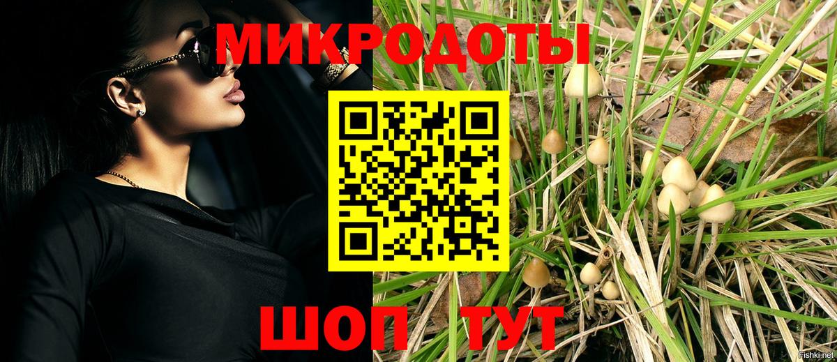 Котовск  Галлюциногенные грибы прущие грибы  Вход с VPN  Галлюциногенные грибы мухоморы 