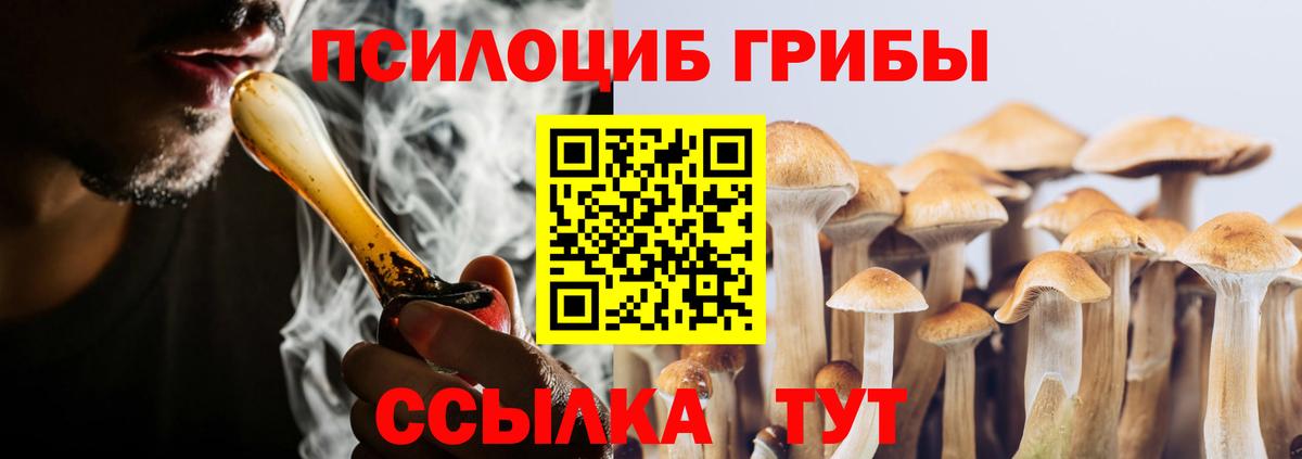 Псилоцибиновые грибы Psilocybe Котовск
